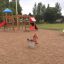 Aire de jeux pour enfants avec Climbing Booth et cheval à ressort.