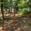Barres de traction dans un parc de fitness extérieur entouré d’arbres