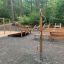 Équipement de fitness extérieur Handles dans un cadre forestier