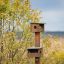 Poteaux de mangeoires à oiseaux en bois installés dans une pelouse verte près de bâtiments modernes.