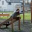 Banc romain en bois pour exercices des muscles du dos dans une salle de sport extérieure