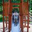 Toboggan de aire de jeux en bois Meru avec un enfant jouant à l’extérieur