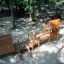 Galapagos wooden playhouse with slide dans une aire de jeux extérieure ombragée