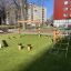 Obstacle course dans une aire de jeux avec filets en corde et structures d’escalade.