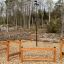 Obstacle Course Chain Bridge sur un sol en copeaux de bois dans un cadre forestier