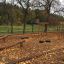 Équipement de terrain de jeu extérieur en bois Ramp entouré de feuilles d’automne dans un parc.