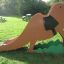 Équipement de terrain de jeu pour enfants Camel single slide dans un parc