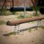 Balance poutre en bois sur ressorts dans une aire de jeux.