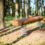 Poutre d'équilibre en bois pour aire de jeux avec supports à ressort dans une forêt.