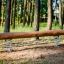 Poutre Balance en bois pour aires de jeux avec supports à ressort métalliques dans un cadre forestier.