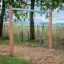Nature Double Swing dans un cadre de parc