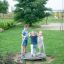 Trois enfants jouant sur l’équipement de terrain de jeu Bee dans un parc.