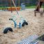 Équipement de aire de jeux SeeSaw sur une aire de jeux sablonneuse