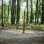 Aire de jeux Kilimanjaro steel structure dans un cadre forestier.