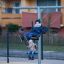 Youth Double Swing avec deux enfants jouant dehors sur des équipements de jeux