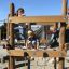 Enfants jouant sur Sherwood wooden playhouse.