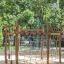 Yellowstone wooden playhouse dans un parc