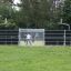 Terrain de sport Stamford Bridge avec des personnes jouant au football et au basket à l’extérieur.
