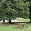 Larchwood Table & Bench dans un parc sous des arbres en fleurs.