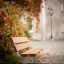 Bench, Steel Construction dans un jardin d'automne pittoresque.