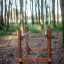 Kongo pont d’équilibre pour enfants dans une aire de jeux en forêt.