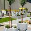 Jardinière décorative en béton Alex avec un arbre dans un espace paysager