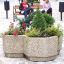 Jardinière en pierre avec différentes plantes et fleurs, deux enfants assis sur un banc en bois à l’arrière-plan