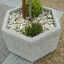Jardinière hexagonale en béton Alex avec des plantes et des pierres.