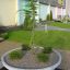 Jardinière décorative en béton avec un arbre vert et de petits buissons à l’entrée d’un bâtiment moderne.