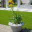 Plante dans une jardinière en pierre Bell sur un patio pavé dans un jardin moderne.