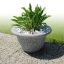 Jardinière de jardin Bell avec plante verte sur un chemin en pierre