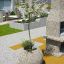 Arbre dans un bac à plantes en pierre Globe dans un jardin moderne.