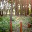 Équipement d'exercice extérieur en bois dans la forêt, Single Somersault Nature.