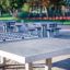 Concrete table tennis, free-standing dans un parc extérieur avec arrière-plan flou.