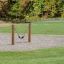 Swing seat: Flexi seat dans un parc avec des poteaux en bois.
