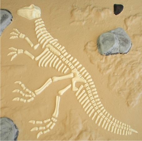 Dino sandbox base avec empreinte de fossile de dinosaure dans le sable