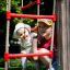 Enfants jouant sur Six angle single slide avec des cordes d’escalade rouges et blanches