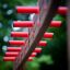 Structure d’escalade de terrain de jeu Six angle single slide avec poignées rouges