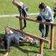 Des enfants jouent sur Double Jump Bars dans un parc