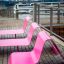 Chaise longue moderne rose au bord de l'eau avec vue sur la ville en arrière-plan.