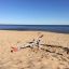Bascule 'Et seesaw' sur une plage de sable au bord de la mer.