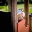 Enfant jouant à l'intérieur d'une structure de jeu Train