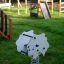 Sheep rocking dans une aire de jeux sur de l'herbe verte avec des structures de jeu en arrière-plan.