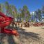 Aire de jeux pour enfants avec un château gigantesque et un toboggan rouge au milieu de grands arbres