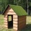 Nature Playhouse Grass Roof wooden house dans une cour herbeuse avec des arbres en arrière-plan.