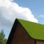 Toit en herbe de Veranda House Nature sur fond de ciel bleu avec des nuages.
