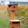 Bird feeder en bois avec deux compartiments et toit noir, conçu pour nourrir les oiseaux.