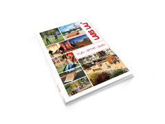 Catalog