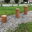 Stumps (3 pcs.) sur un chemin de gravier en extérieur