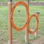 Équipement d’exercice extérieur Agility Double Hoop Jump pour chiens dans une zone herbeuse